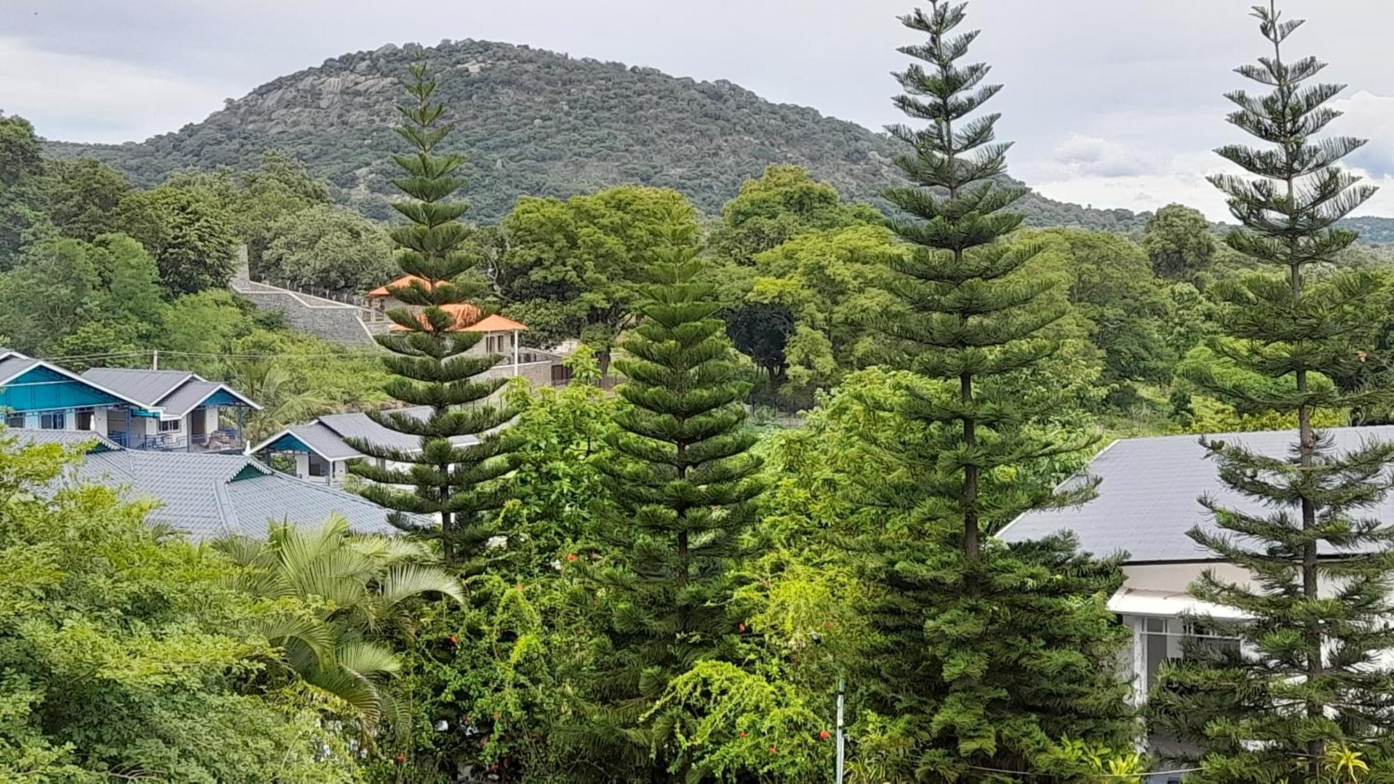 Mgm Whispering Wind'S Yelagiri Hotel Bagian luar foto